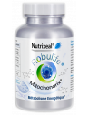 Robulife Mitochondrix : Complexe Premium de robuvit, cyanthox et vitamine c pour Santé Mitochondriale