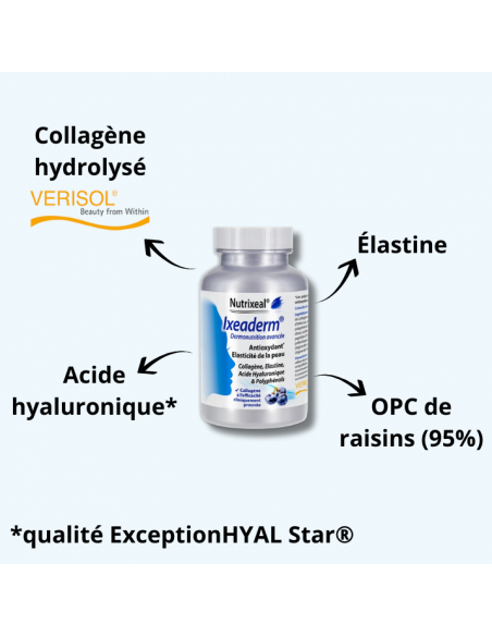 Complexe synergique de collagène Verisol®, élastine, acide hyaluronique et polyphénols