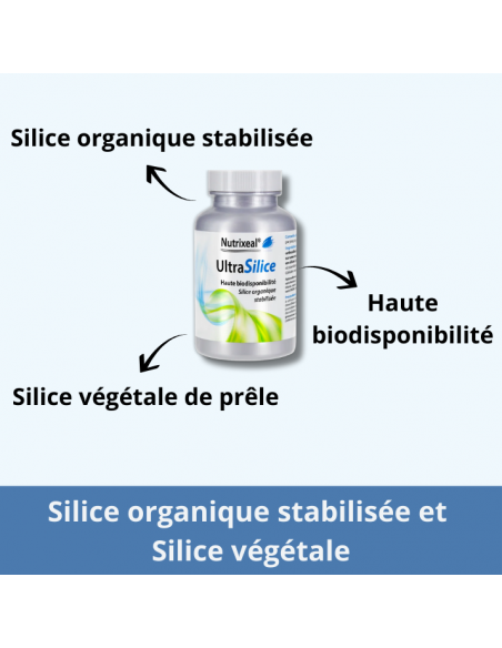 Silice organique stabilisée, haute biodisponibilité, silice végétale de prêle