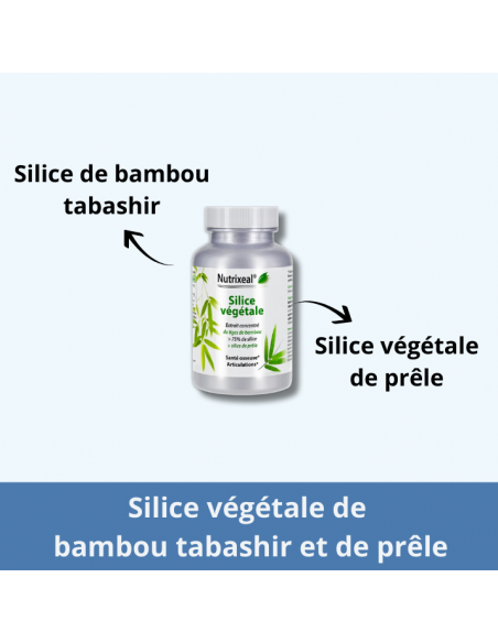 Silice végétale de bambou tabashir et prêle