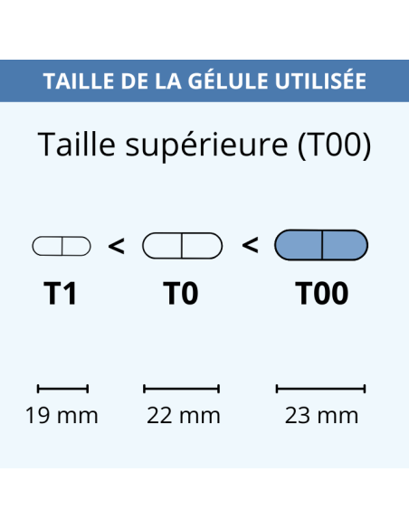 Taille de la gélule utilisée dans ChondrOcean