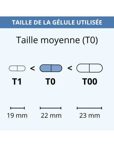 Taille de gélule utilisée dans Fortimer Premium