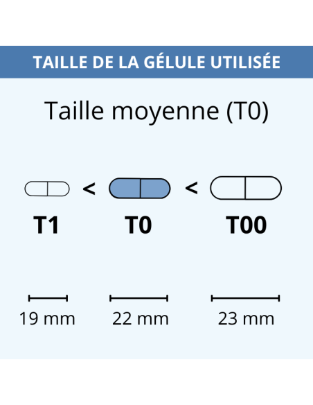 Taille de gélule utilisée dans le Reishi BIO 500 mg