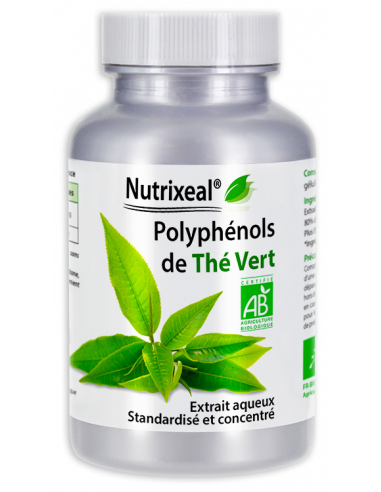 Extrait aqueux de thé vert Bio, standardisé et concentré à 80% de polyphénols : 500 mg par gélule.
