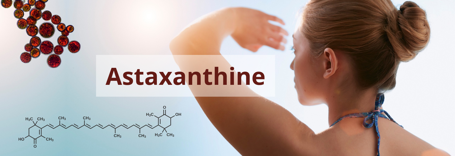 L’ASTAXANTHINE : UN ACTIF BEAUTÉ INCONTOURNABLE POUR L’ÉTÉ