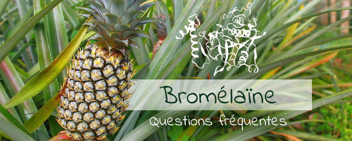 Questions fréquentes sur la bromélaïne
