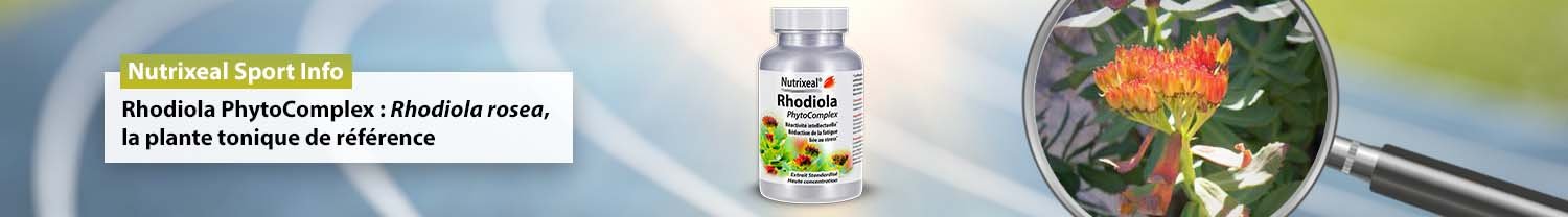 Rhodiola PhytoComplex : Rhodiola rosea, la plante tonique de référence