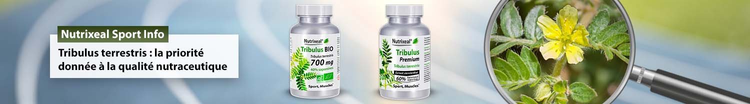 Nutrixeal Sport Info : Tribulus terrestris, la priorité donnée à la qualité nutraceutique