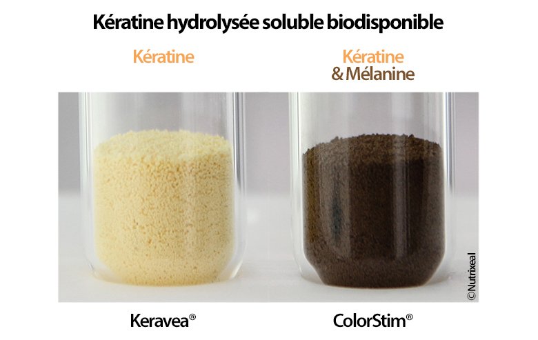 La différence entre la kératine de keravea et la kératine de colorstim