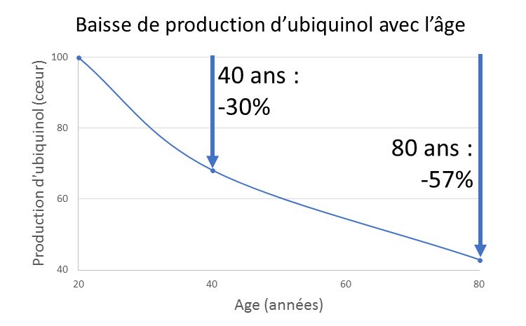 Baisse de production d'ubiquinol avec l'âge
