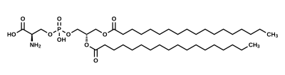 structure moléculaire des phosphatidylsérine