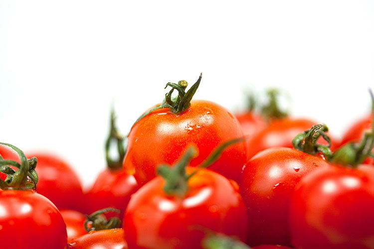 Lycopène extrait de tomate